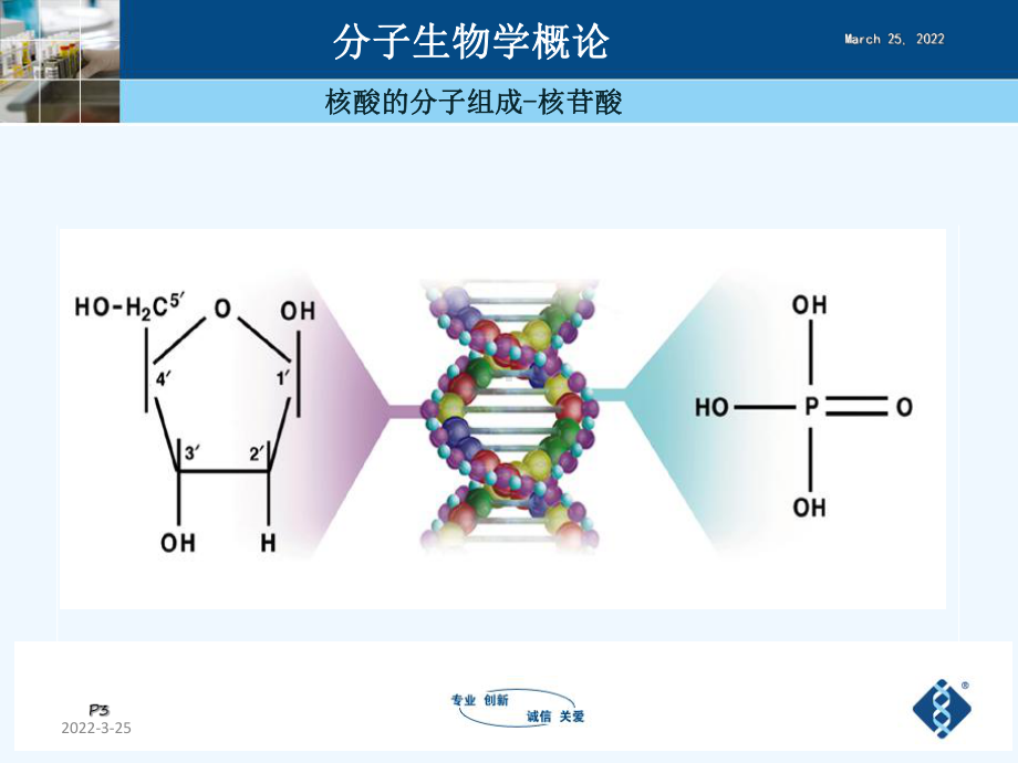 核酸血液筛查(上海浩源)课件.ppt_第3页