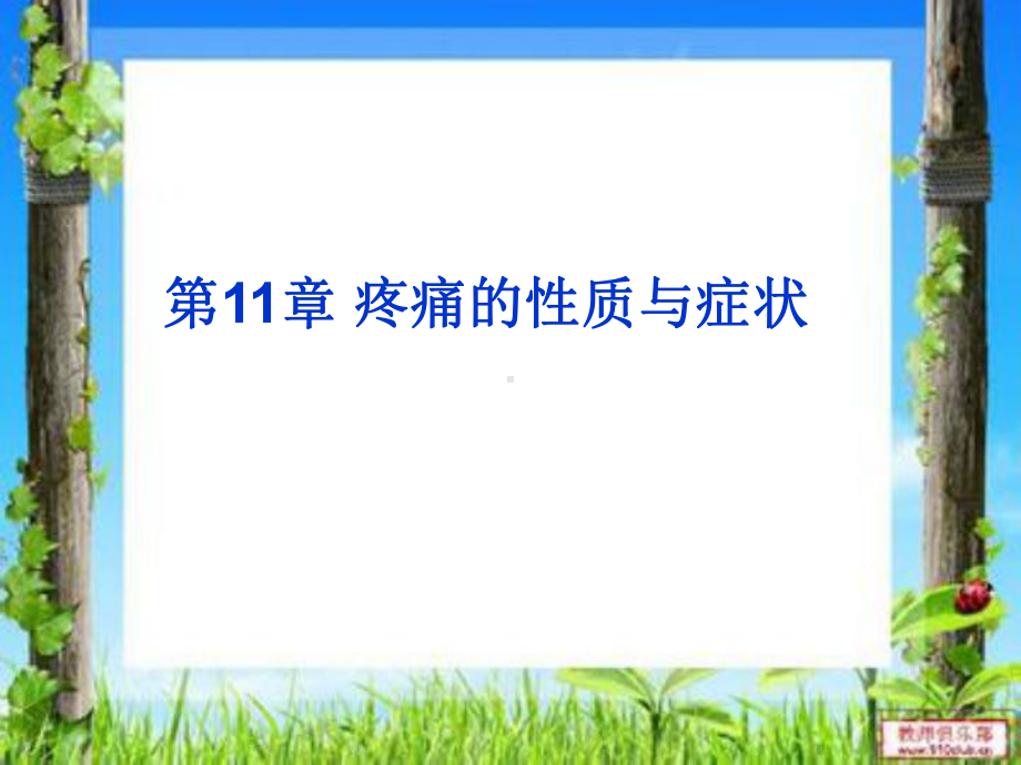 疼痛的性质与症状课件.ppt_第1页