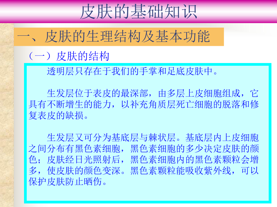 皮肤基础知识大全课件.ppt_第3页