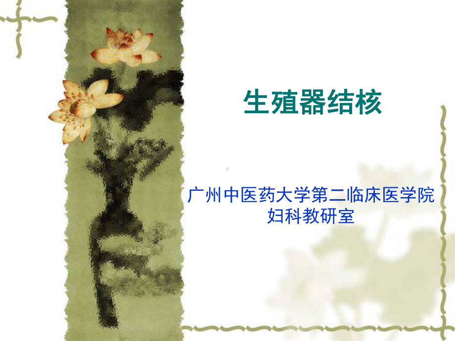 盆腔结核精讲课件.ppt_第1页