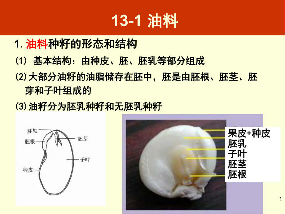 油脂工艺课件.ppt_第2页