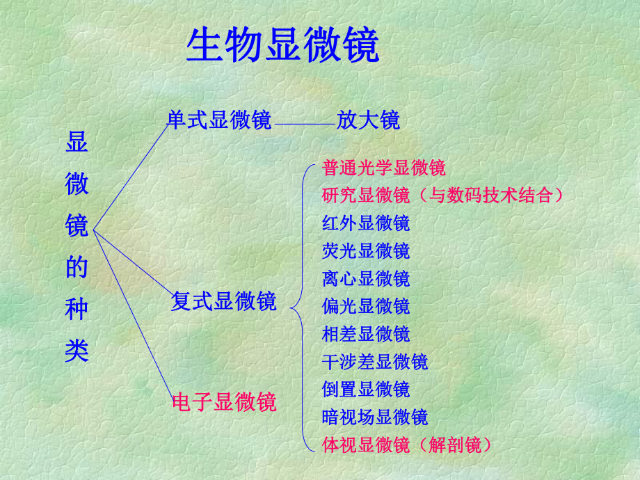 植物显微技术课件.ppt_第2页