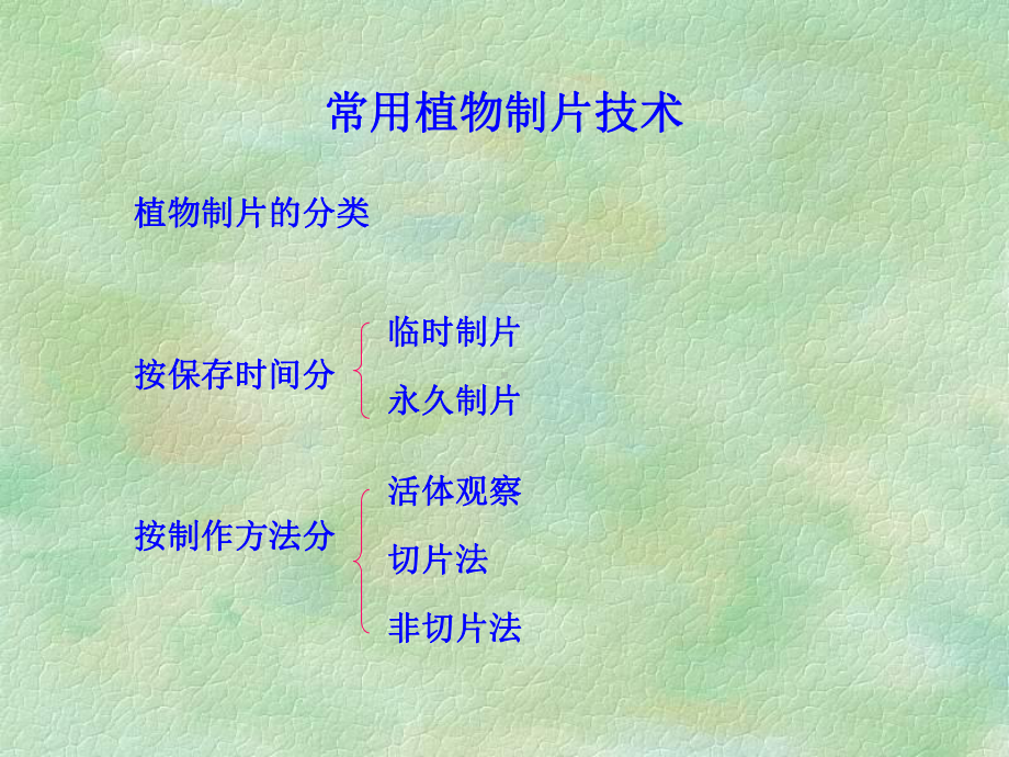 植物显微技术课件.ppt_第3页