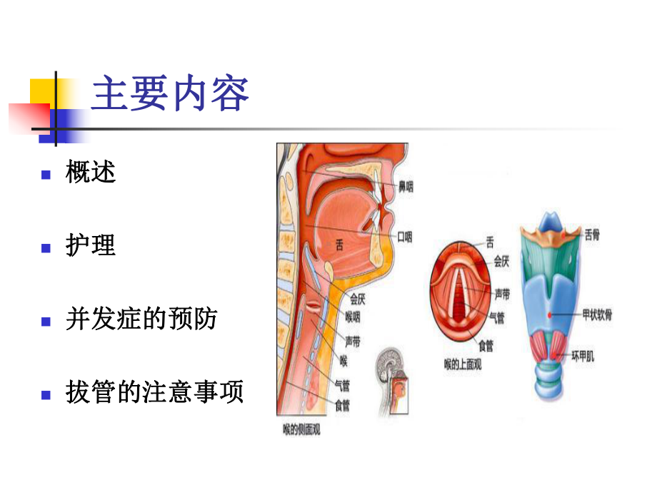 气管切开护理课件.ppt_第2页