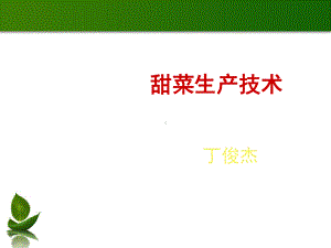 甜菜生产技术(PPT48张)课件.ppt