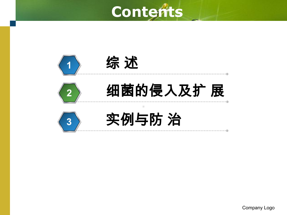 植物细菌性病害防治方法分析课件.ppt_第2页