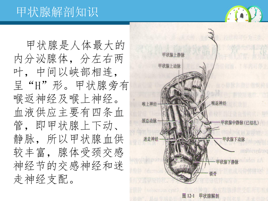 甲状腺次全切术前、术后护理-课件.ppt_第3页