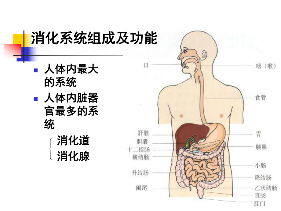 消化系统疾病总论(人卫8版)课件.ppt_第3页