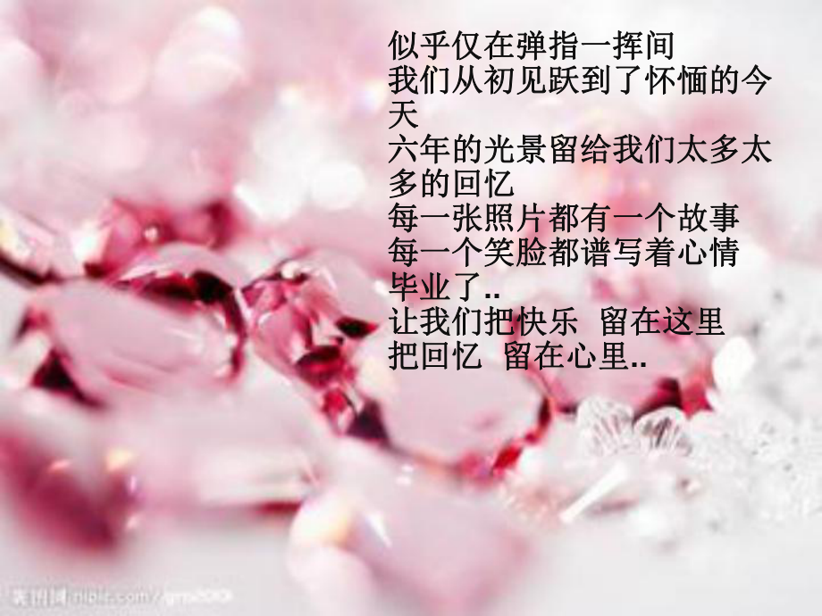 毕业主题班会.ppt课件.ppt_第2页