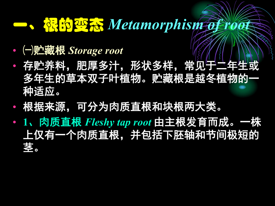 根的变态(精)课件.ppt_第3页