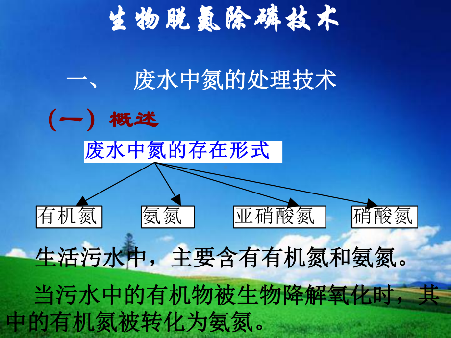 生物脱氮除磷整理.ppt课件.ppt_第1页