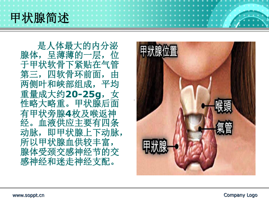 甲状腺术后患者的气道管理课件.ppt_第2页