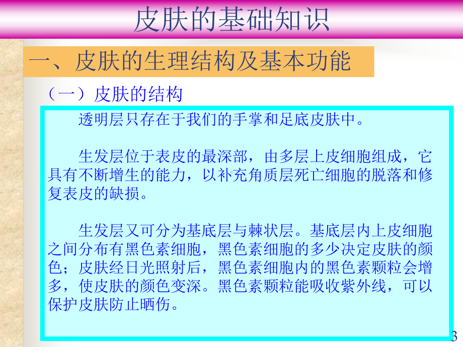 皮肤基础知识大全.ppt课件.ppt_第3页