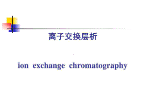 离子交换层析原理步骤详细课件.ppt