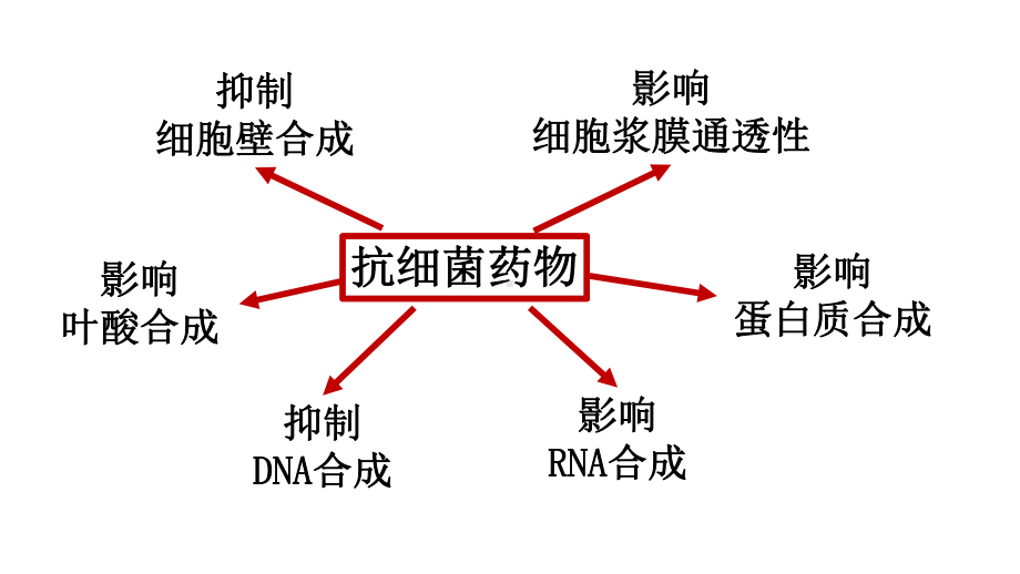 高考化学复习药物合成中的成环反应.pptx_第2页