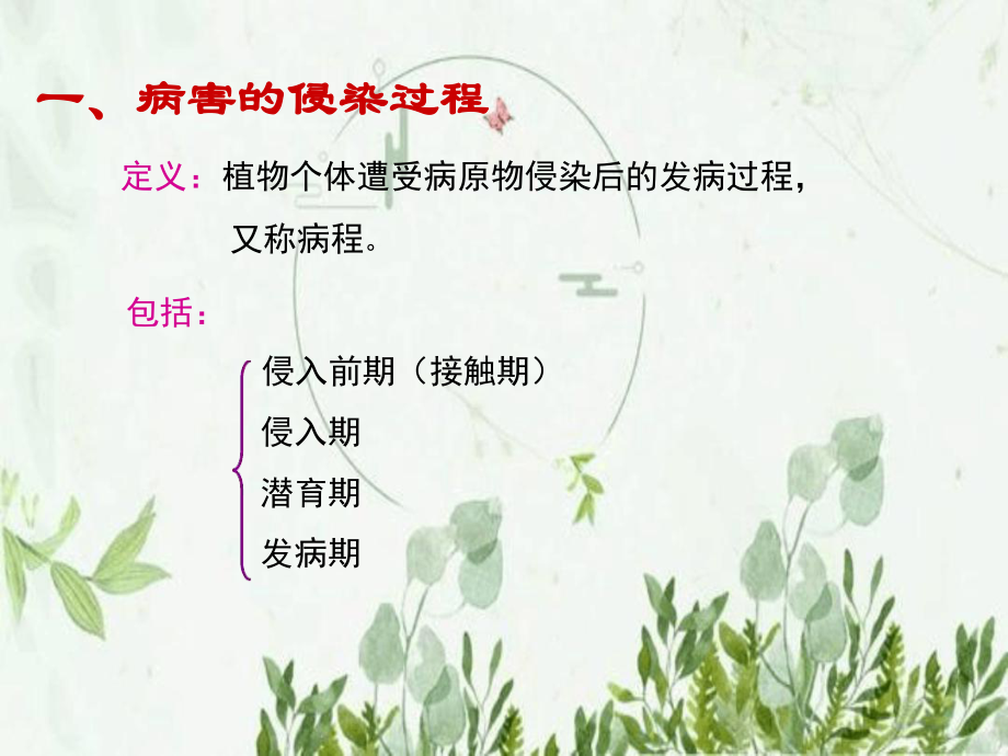 植物病害的侵染过程及侵染循环-图文课件.ppt_第3页