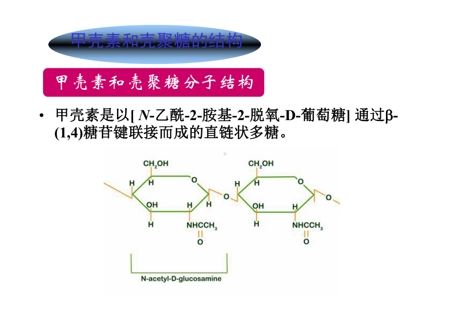 第4章-甲壳素和壳聚糖-天然高分子材料资料讲解课件.ppt_第3页