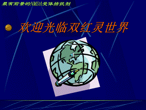 欢迎光临双红灵世界(精)课件.ppt