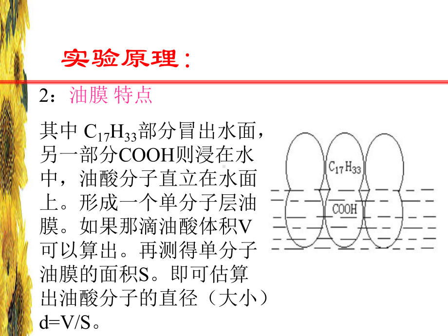 物理实验油膜法测分子直径课件.ppt_第3页