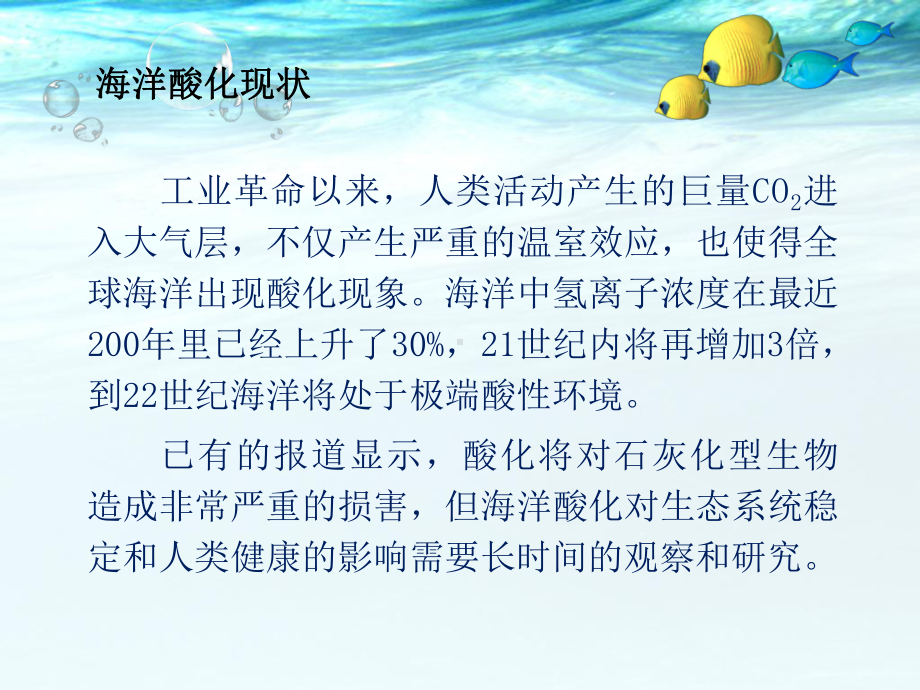 海水酸化作业课件.ppt_第3页