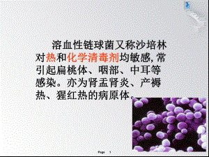 溶血性链球菌课件.ppt