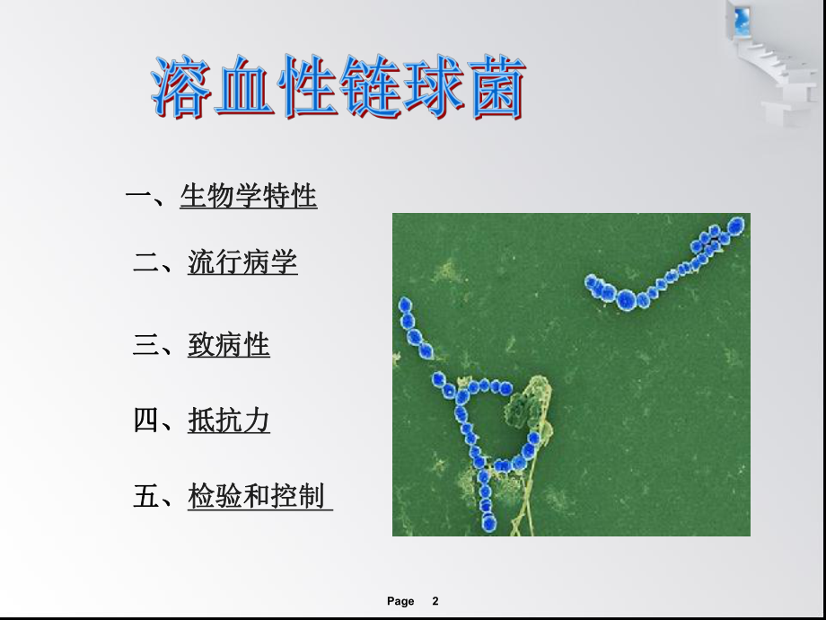 溶血性链球菌课件.ppt_第2页