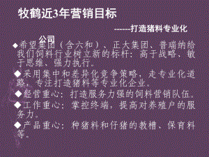 深度营销实施方案课件.ppt