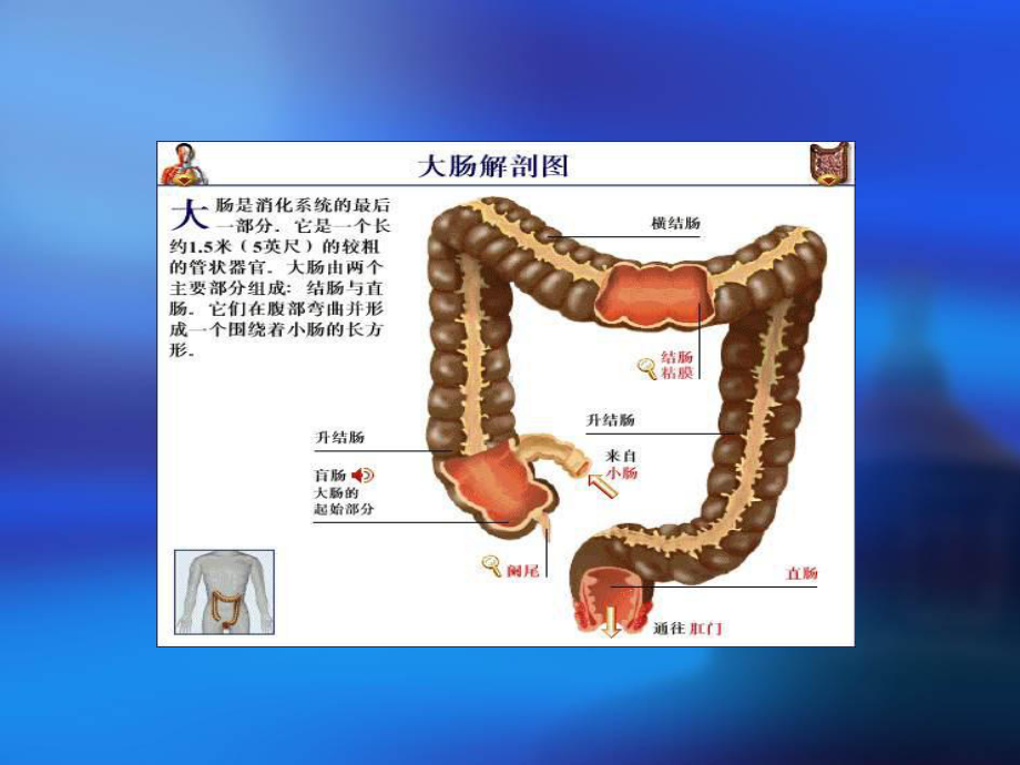 直肠癌护理ppt课件.ppt_第3页