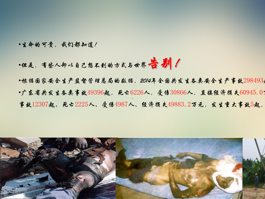 电网公司人身触电死亡事故案例分析课件.ppt_第3页