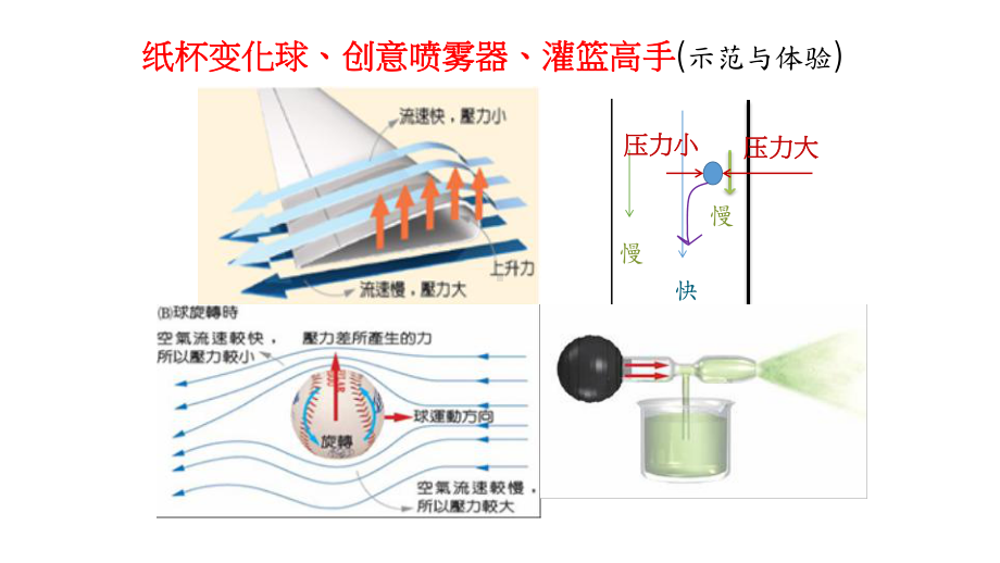 流体的性质—伯努力原理课件.pptx_第3页