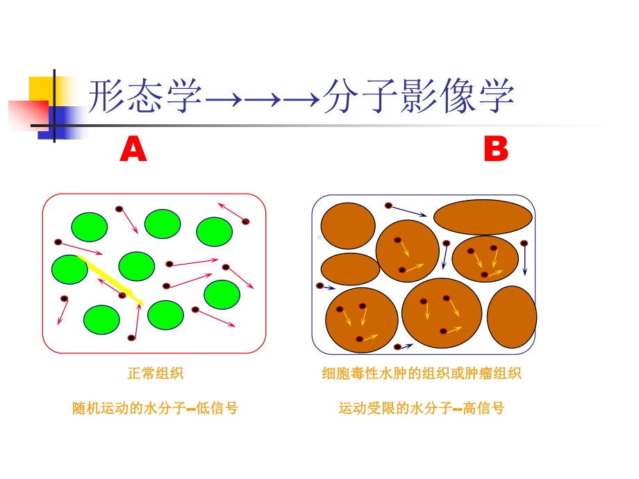 磁共振DWI的应用方案课件.ppt_第3页