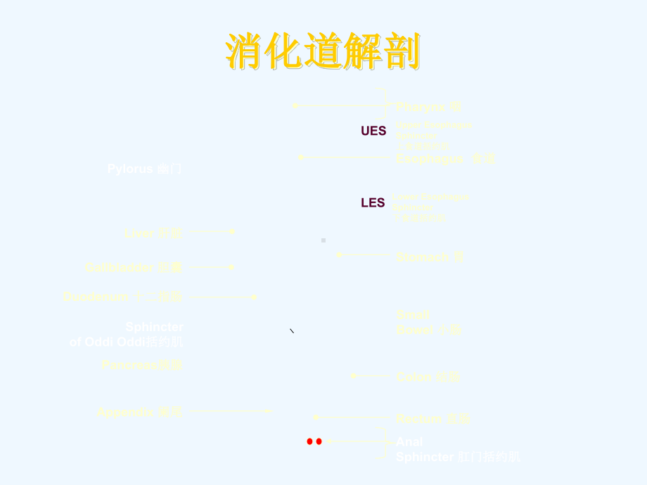 消化系统疾病常用药物课件.ppt_第1页