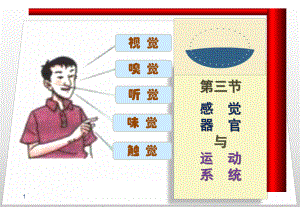 第1章学前儿童的解剖生理与卫生保健课件.ppt