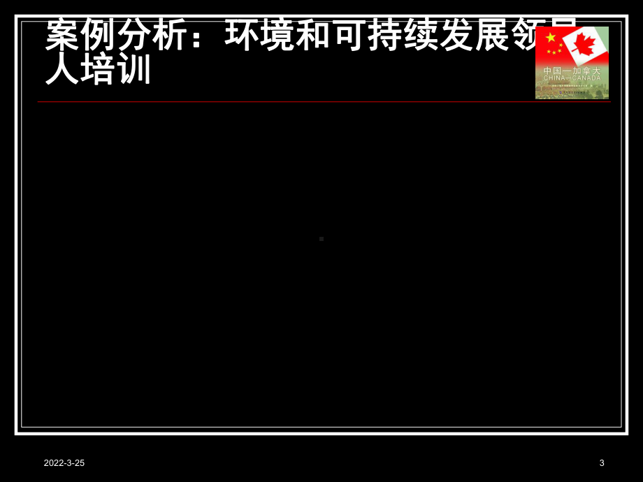 案例分析示例课件.ppt_第3页