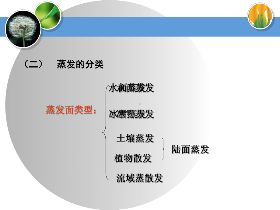 水文学原理-第七章-蒸发与散发课件.ppt_第3页