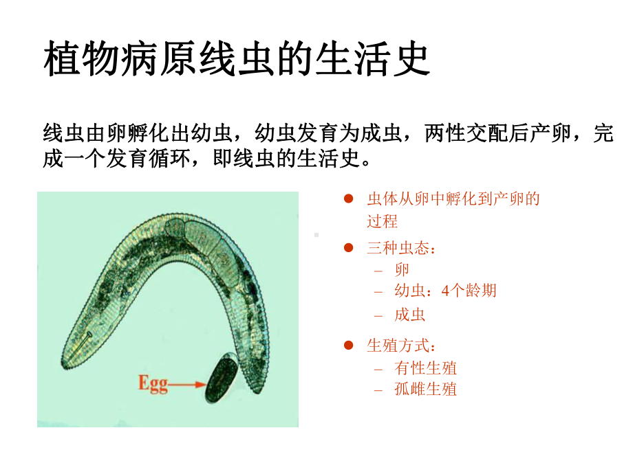 植物寄生虫-线虫分析课件.ppt_第3页