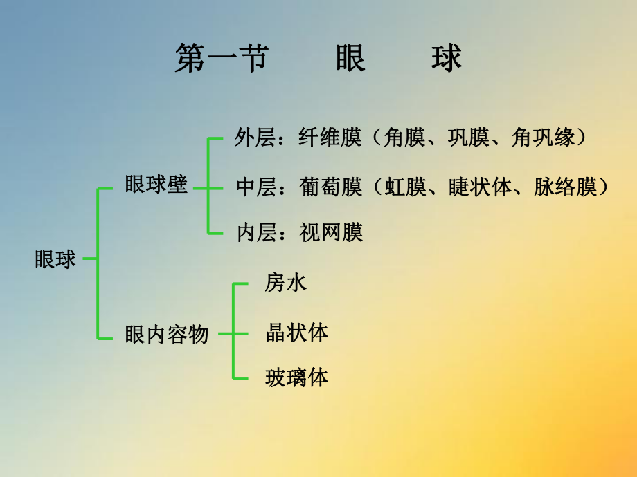 眼的解剖与生理.ppt课件.ppt_第3页