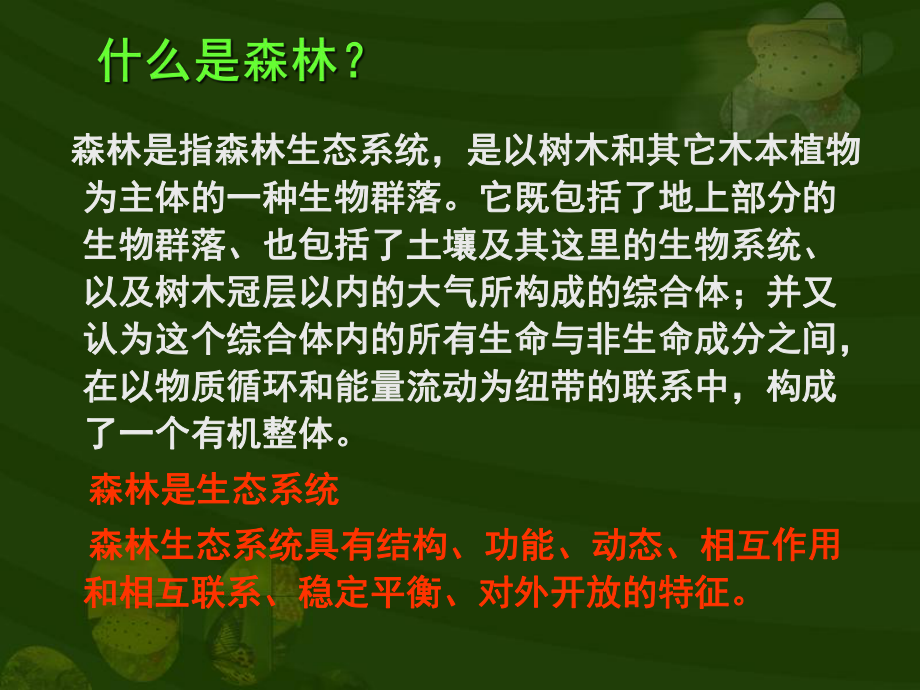 植被破坏与环境恶化课件.ppt_第3页