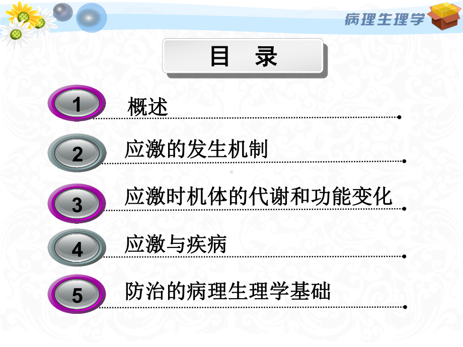 病理生理学应激案例版课件.ppt_第1页