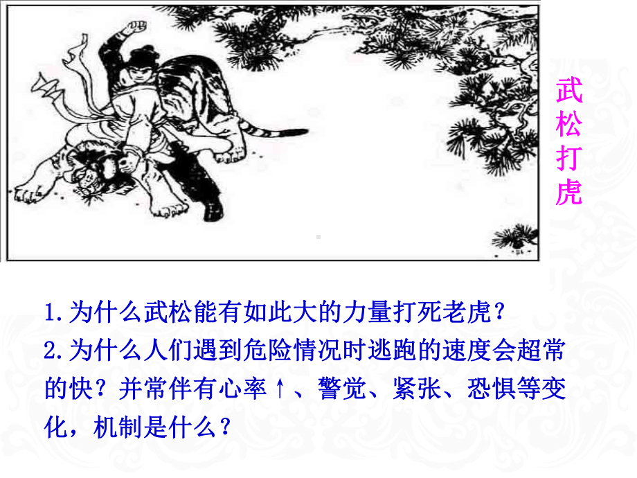 病理生理学应激案例版课件.ppt_第3页