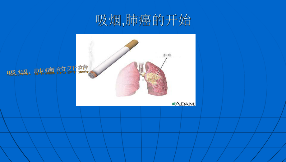 班会无烟校园主题班会课件.pptx_第3页