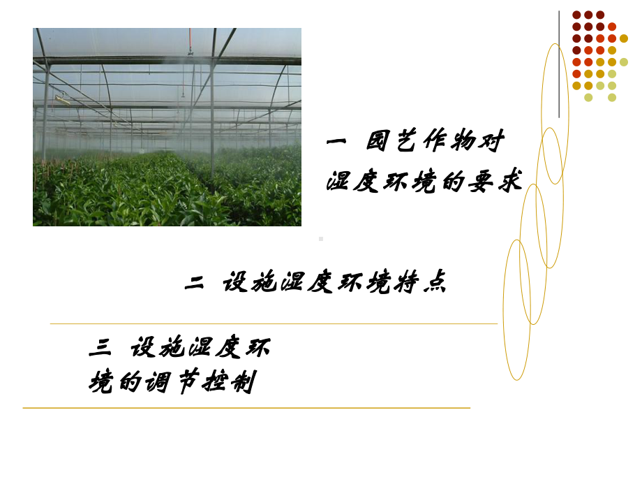 温室灌水方式与设备讲解课件.ppt_第2页