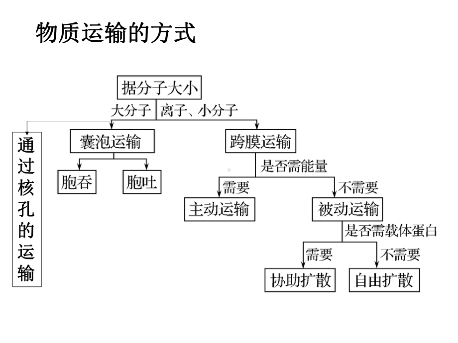 物质跨膜运输的方式复习课件.ppt_第1页