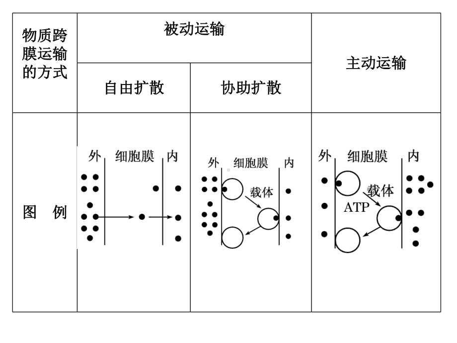 物质跨膜运输的方式复习课件.ppt_第3页