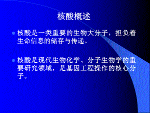 生物化学核酸课件.ppt