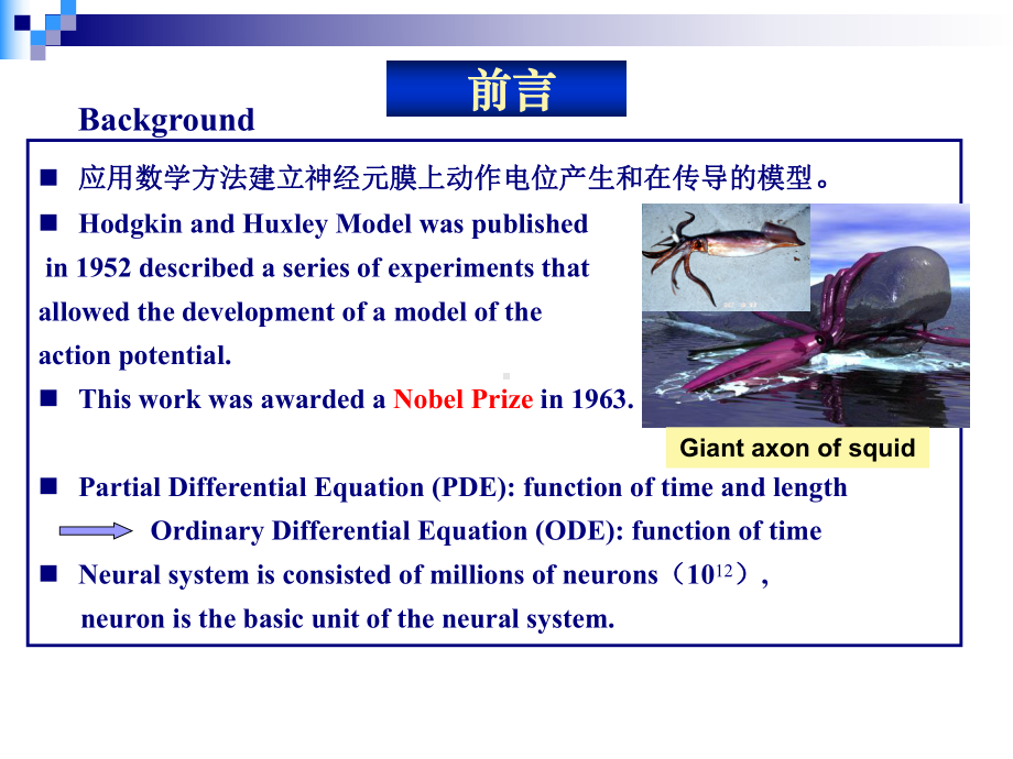 神经电生理数学模型-Hodgkin-Huxley方程课件.ppt_第2页