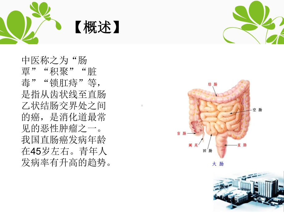 直肠癌中医护理课件.ppt_第3页