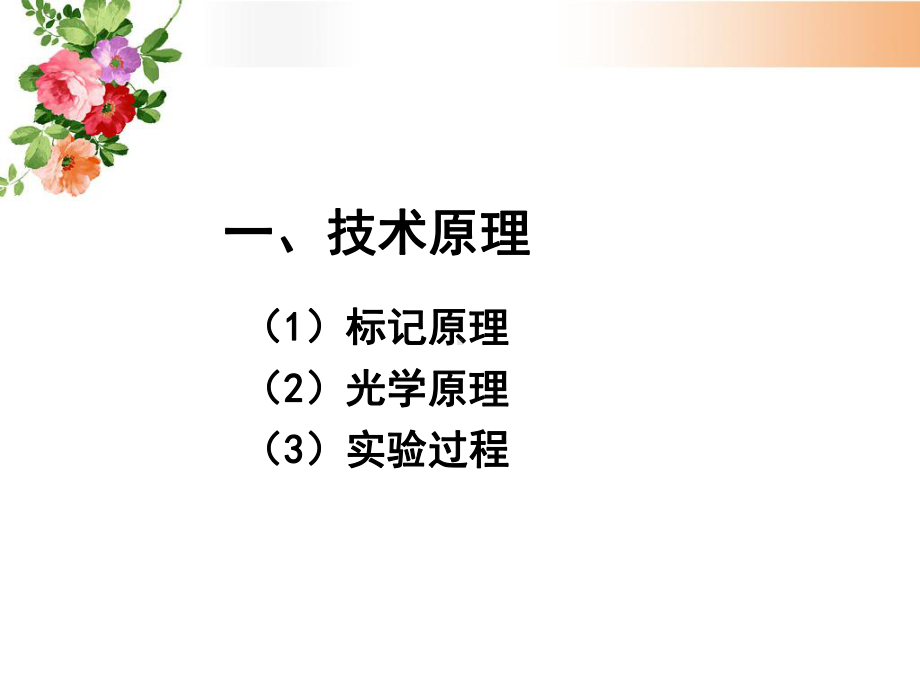 生物发光原理及应用课件.ppt_第3页