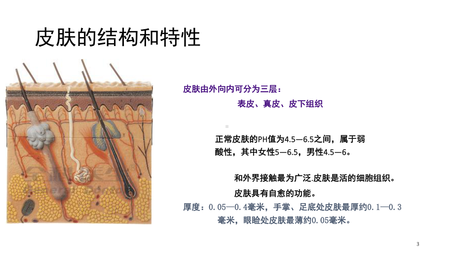 皮肤激光(课堂PPT)课件.ppt_第3页