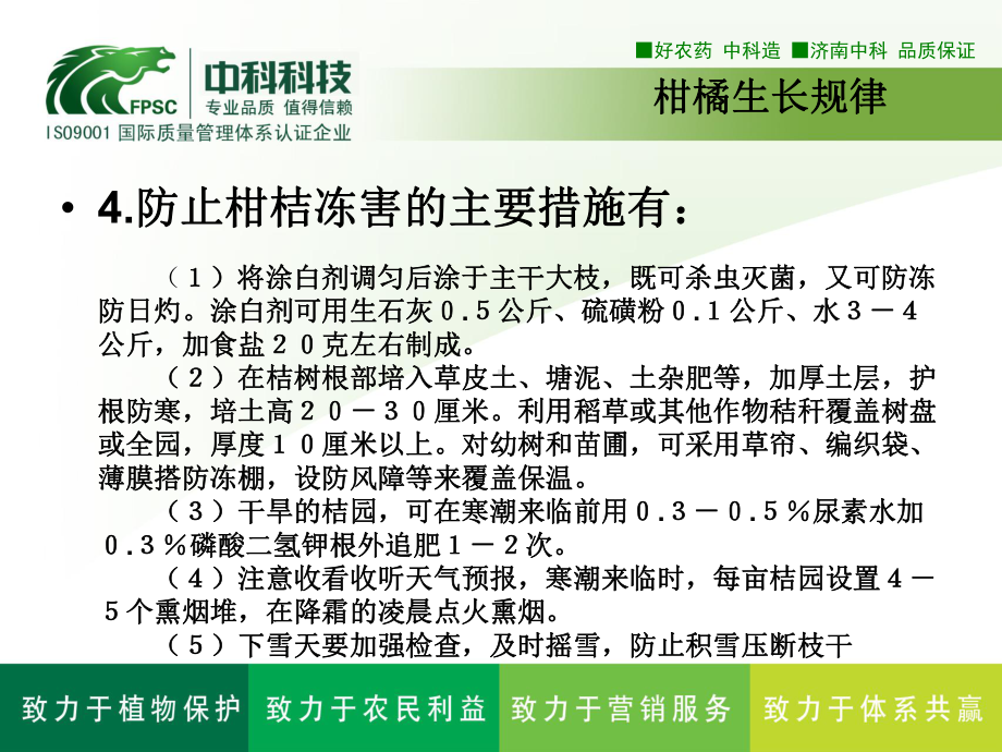 柑橘生长规律课件.ppt_第3页